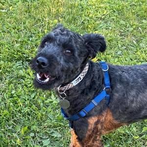 Meet your Posher, Traci